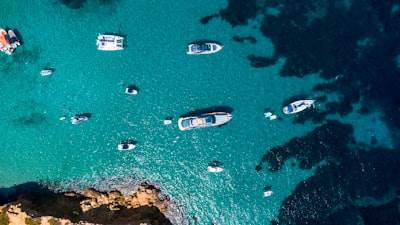 Mejores expertos en software web personalizado en Ibiza