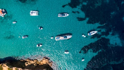 Mejores empresas de SEO Bots en Ibiza