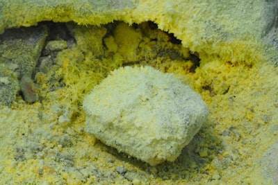 Comprehensive Modeling of Deep-Seabed Mineral Extraction's Environmental Impact