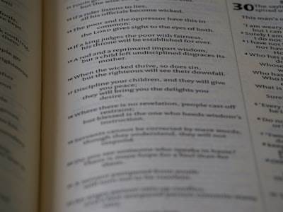 Comparación: Deepseek 3.2 vs Claude 4.5 en codificación agentica