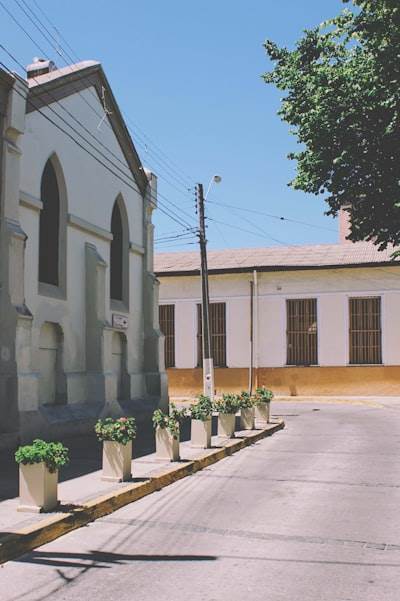 Servicios de IA en San Bartolomé de Tirajana