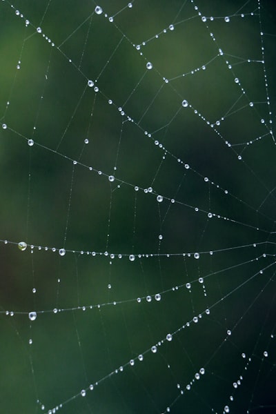 Integración de CRM web y AI para objetivos medioambientales