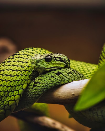 Comprendiendo Entradas Múltiples en Redes Neuronales con Python