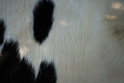 Deja de usar bucles en Pandas