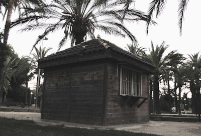 Preguntas y respuestas sobre el portal de miembros con biblioteca de contenidos en Alicante 2026