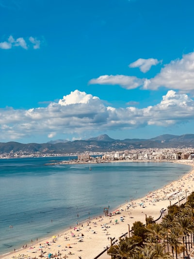 Top 5 empresas de apps de escritorio personalizadas en Palma