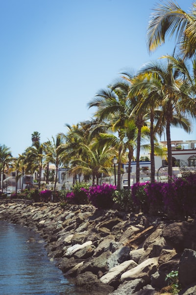 Servicios de eliminación de tareas repetitivas de oficina en Las Palmas de Gran Canaria