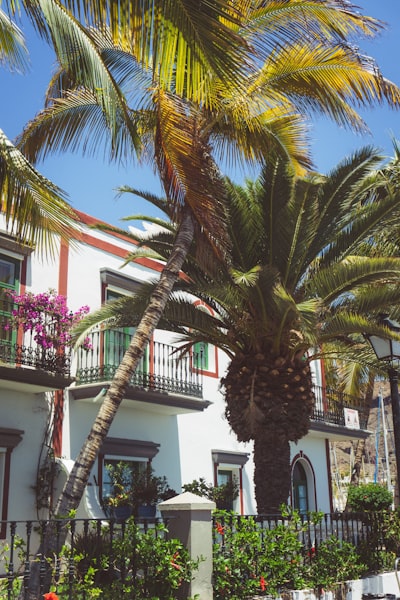 Automatización de reservas de hotel en Las Palmas de Gran Canaria