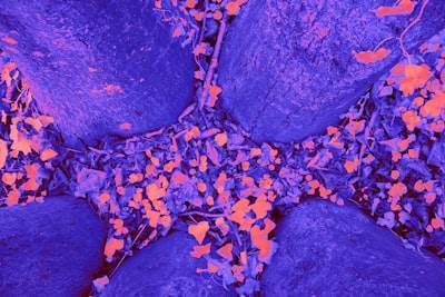Predicción de cáncer de páncreas mediante microarray de microfluidos aptámeros XNA