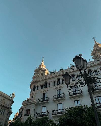 Mejores empresas para bots de telegram en Córdoba