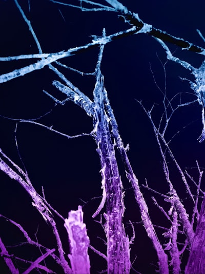 Mejorando la Plasticidad Neuronal para Aprendizaje Rápido