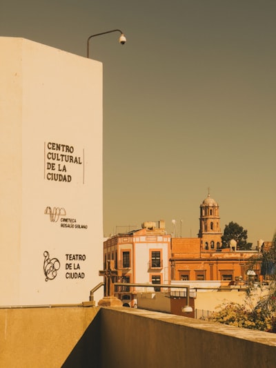 Reporte Técnico RLDX-1