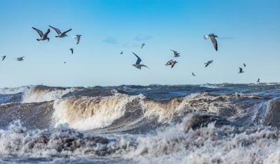 Swarm edge-to-cloud coordination for coastal climate resilience planning in multilingual stakeholder groups
