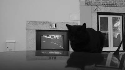 Razonamiento de Video Fundamentado con Evidencia Espacio-Temporal Explícita