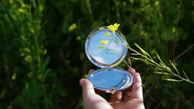 Cómo los servicios de análisis de datos apoyan los objetivos ambientales