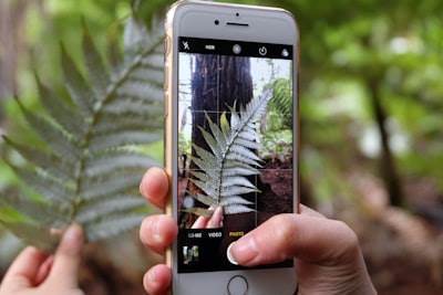 Las 3 mejores empresas de bots de Instagram en Calahorra