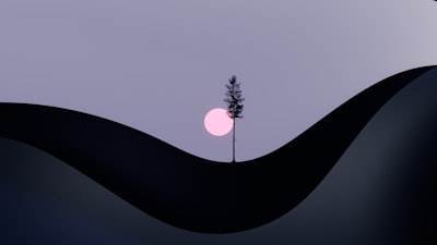 Create an eye-catching animation on a website that will captivate you (GSAP)