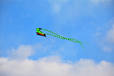 Detección de objetos voladores en tiempo real con YOLOv8