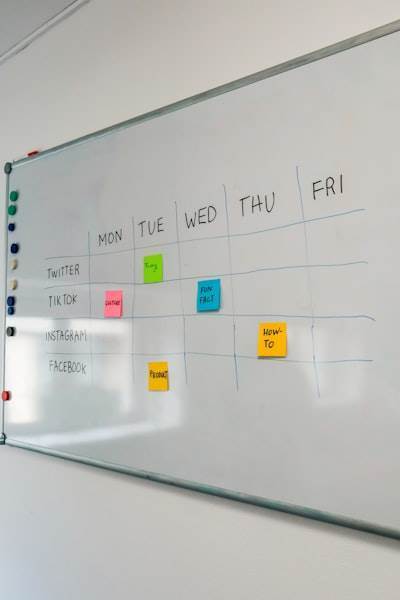 ¿Qué tan adaptable es la programación personalizada a mi flujo de trabajo empresarial?