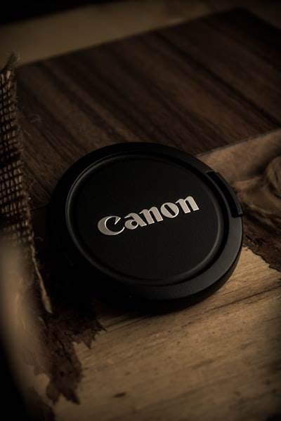 Satoshi se convierte en distribuidor autorizado de Canaan para mineros de Bitcoin Avalon Home.