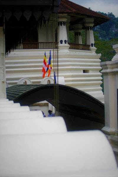 Aplicación web oficial en Navalmoral de la Mata