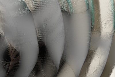 Mejores expertos en control de plagas en Bilbao