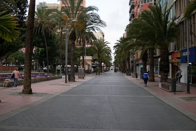 Proceso modernizado de incorporación de clientes en Las Palmas de Gran Canaria