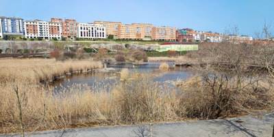 Top 10 Expertos en n8n en Ponferrada