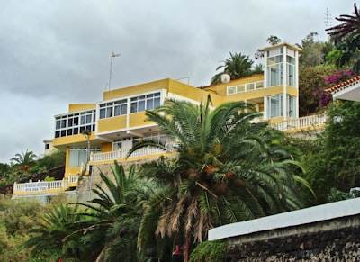 Empresa de BI en Puerto de la Cruz