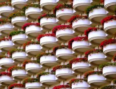 Reconocimiento de flores en AWS con serverless