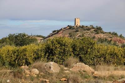 n8n en Castellón