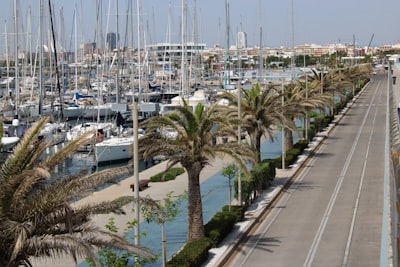 Los mejores expertos en copiloto de IA para compras en Valencia
