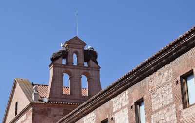Los mejores expertos en bots de SEO en Alcalá de Henares