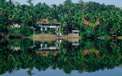 Custom Web Development Services in Kerala