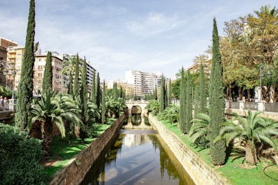 Principales empresas de arquitectura SaaS multiinquilino en Palma
