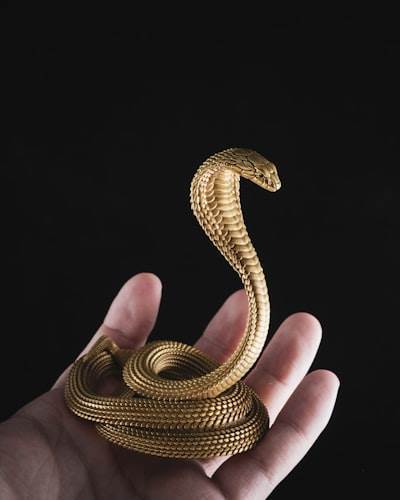 Tipos de datos en Python para IA/ML