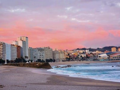 Seguridad Profesional para Agentes y Trabajadores en A Coruña