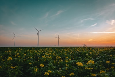 Automatización y métricas ESG para un negocio responsable