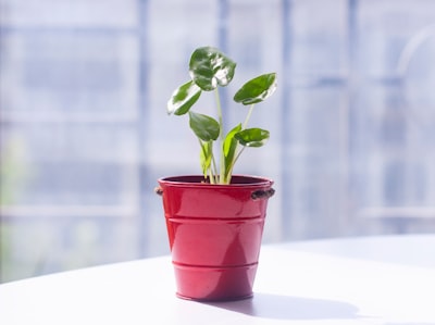 Las 50 mejores empresas para automatizar el cultivo de clientes potenciales en Elche