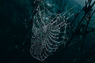 Condena récord por tráfico de drogas en la dark web