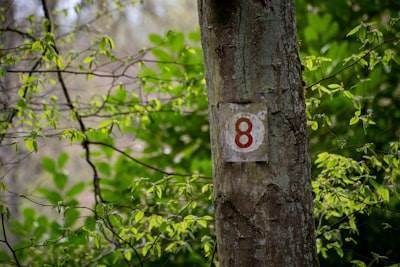 Top 50 Expertos en n8n en Alberite