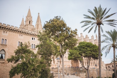 Los 5 mejores expertos en integración de BI y ERP en Palma