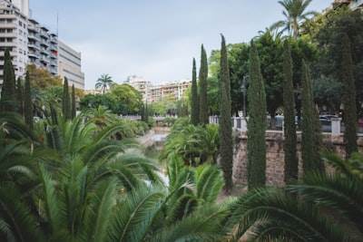 Las mejores empresas de software en Palma