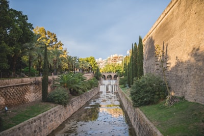 Las mejores empresas para historial de chat en Palma