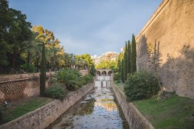 Top 5 Expertos en programación a medida en Palma