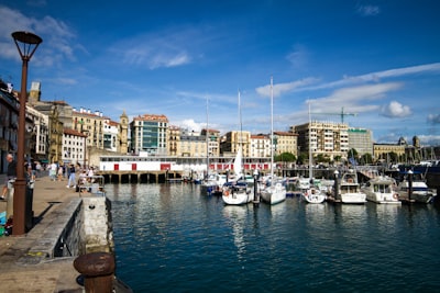 Principales expertos en software empresarial en San Sebastián de los Reyes