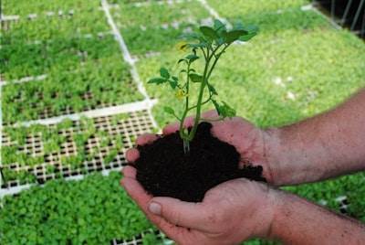 Guía para una cultivación inteligente y sostenible