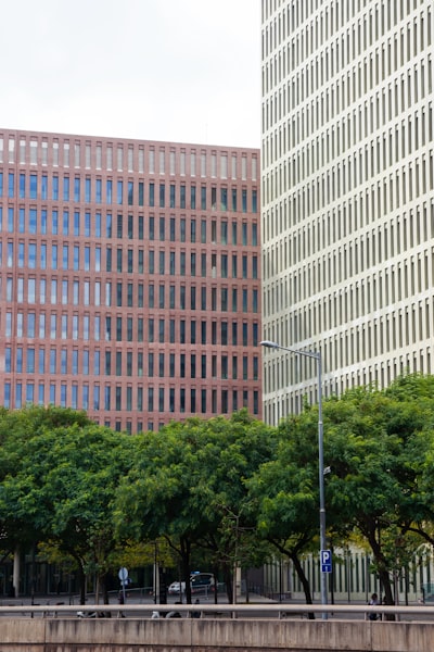 Automatización contable en Barcelona: cómo encontrar al mejor proveedor