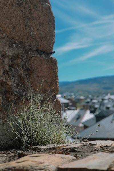 Las mejores empresas de bots de Instagram en Ponferrada