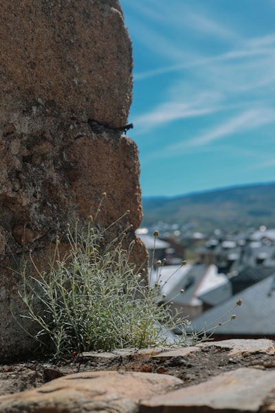 Top 15 Expertos en desarrollo de aplicaciones móviles en Ponferrada